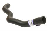Radiator Hose - Upper
