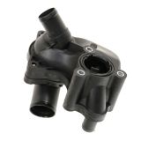 Thermostat & Housing