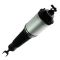 04-07 Audi A8 w/ Std Suspension Front Air Shock RF