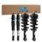 Complete Shock Assembly & Shock Absorber Kit
