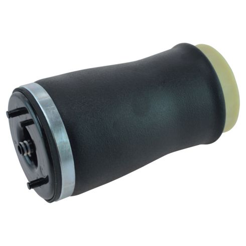 01-06 BMW X5 Sport Rear Air Spring RR