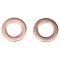 Brake Hose Pair