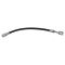 Rear Replacement Brake Hose Set