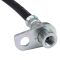 Rear Replacement Brake Hose Set