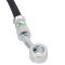 Front Replacement Brake Hose Set