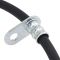 Front Replacement Brake Hose Set