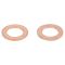 Rear Replacement Brake Hose Set