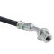 Rear Replacement Brake Hose Set