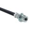 Rear Replacement Brake Hose Set