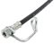 Rear Replacement Brake Hose Set