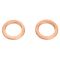 Front & Rear Replacement Brake Hose Set