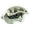 03-06 Silverado 1500 NEW Rear Disc Brake Caliper LR (Raybestos)