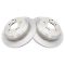 Replacement Brake Rotor Pair