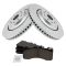 Brake Pad & Rotor Kit