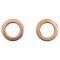 Brake Pad, Rotor, Caliper & Hose kit