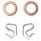 Front Brake Pad, Rotor, Caliper & Hose Kit