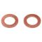 Front Brake Pad, Rotor, Caliper & Hose Kit