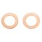 Rear Brake Pad, Rotor, Caliper & Hose Kit
