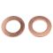 Rear Brake Pad, Rotor, Caliper & Hose Kit