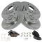 Brake Pad & Rotor Kit