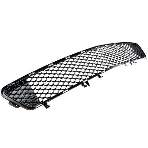 10-13 Mercedes Benz E-Class Luxury (w/AMG Pkg) Ctr Frnt Bumper Mtd Molded Plastic Grille Screen (MB)