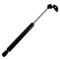 92-96 Toyota Camry, Lexus ES300 Lift Support LH