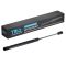 Trunk Lid Lift Support