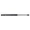Trunk Lid Lift Support