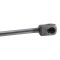 Liftgate Lift Support