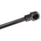 Trunk Lid Lift Support