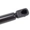 Liftgate Lift Support