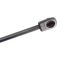 Trunk Lid Lift Support