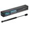Trunk Lid Lift Support