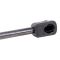Trunk Lid Lift Support