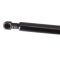 Trunk Lid Lift Support