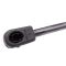 Trunk Lid Lift Support