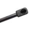 Liftgate Lift Support
