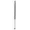Liftgate Lift Support