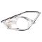 Fog Light Bezel