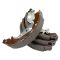 Brake Shoes