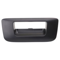 Tailgate Handle Bezel