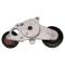 Serpentine Belt Tensioner