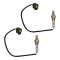 Oxygen Sensor Pair