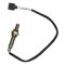 Oxygen Sensor Kit
