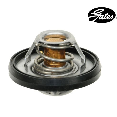 Thermostat (195 degree)