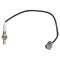 O2 Oxygen Sensor
