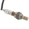 O2 Oxygen Sensor