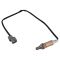 O2 Oxygen Sensor