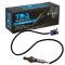 O2 Oxygen Sensor