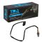 O2 Oxygen Sensor
